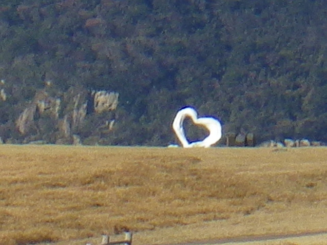 IMGP2624.JPG