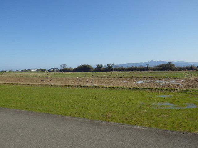 IMGP2667.JPG