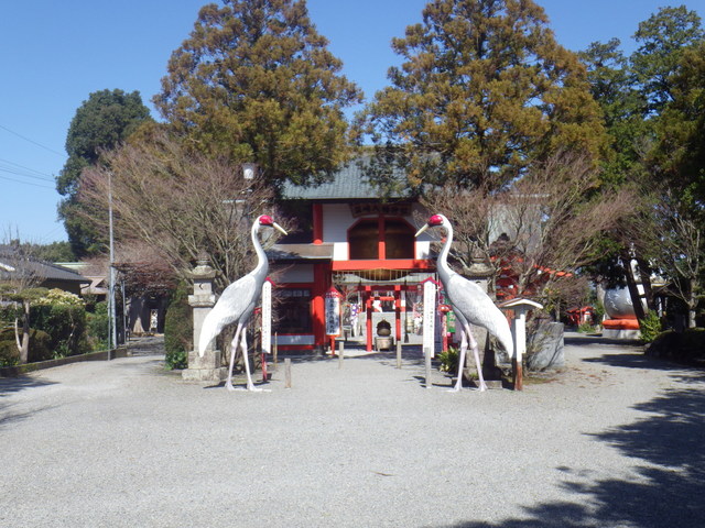 IMGP2675.JPG