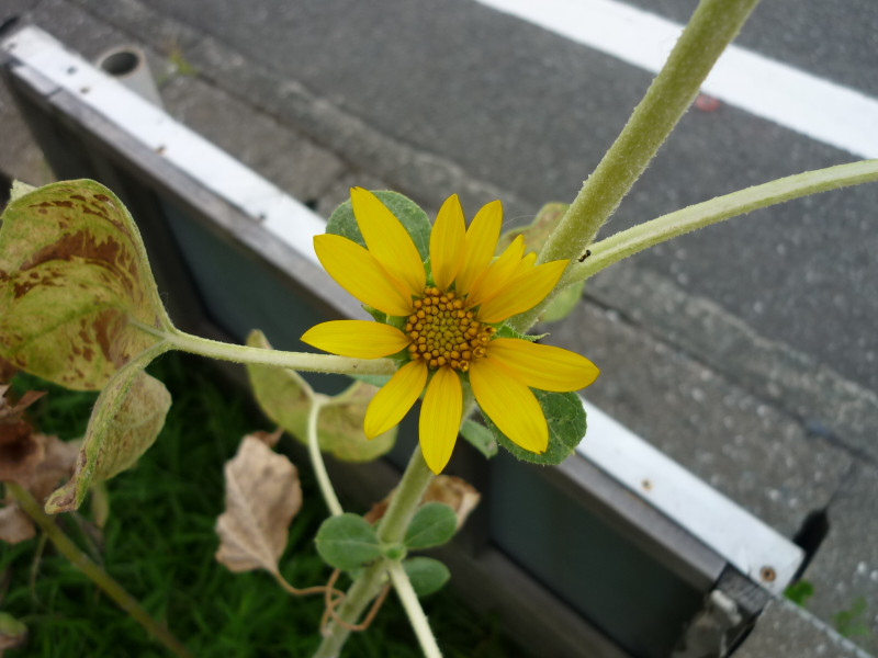 P1100508