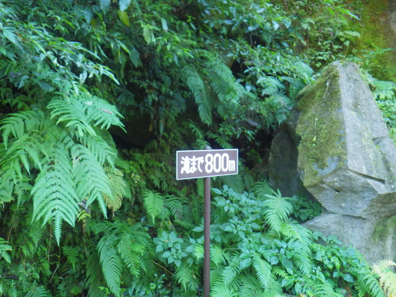 Imgp2324